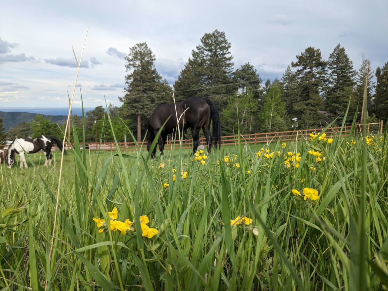 Doubleheader Ranch