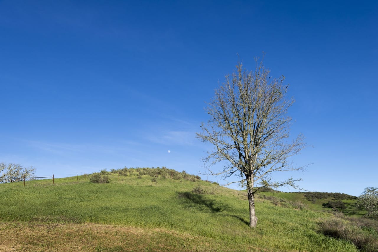 Cliff May, Architect 1968 :: Alisal Ranch, Santa Ynez Valley