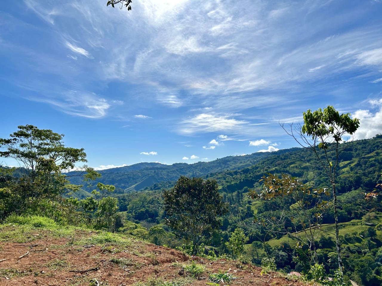 45 Acres Development Farm in San Luis with two Existing Homes 