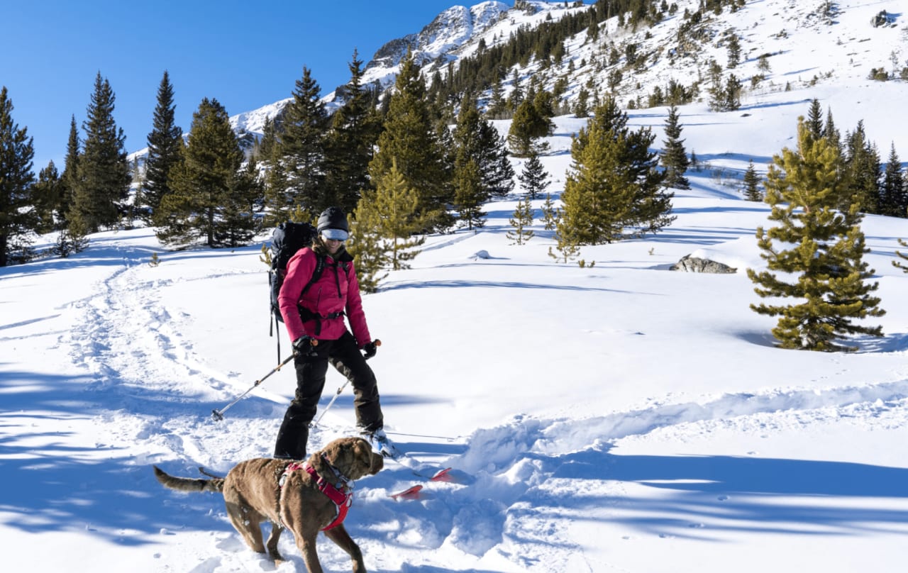 Carbondale, CO: A Skiing Odyssey Awaits