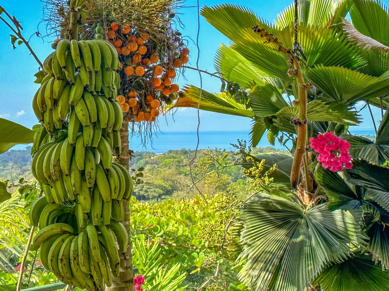 A 3-Bedroom Home With Spectacular Pacific Ocean View On The Edge Of Ojochal