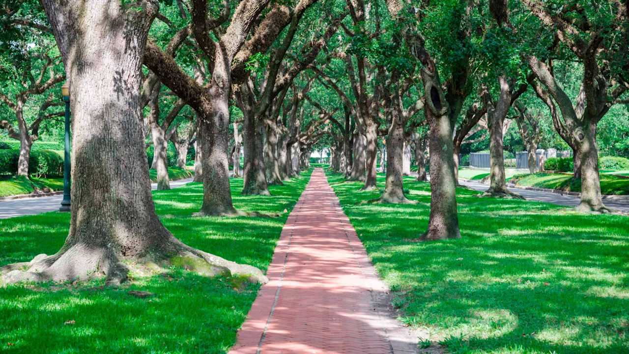 Houston's Oak Forest Real Estate and Neighborhood Facts