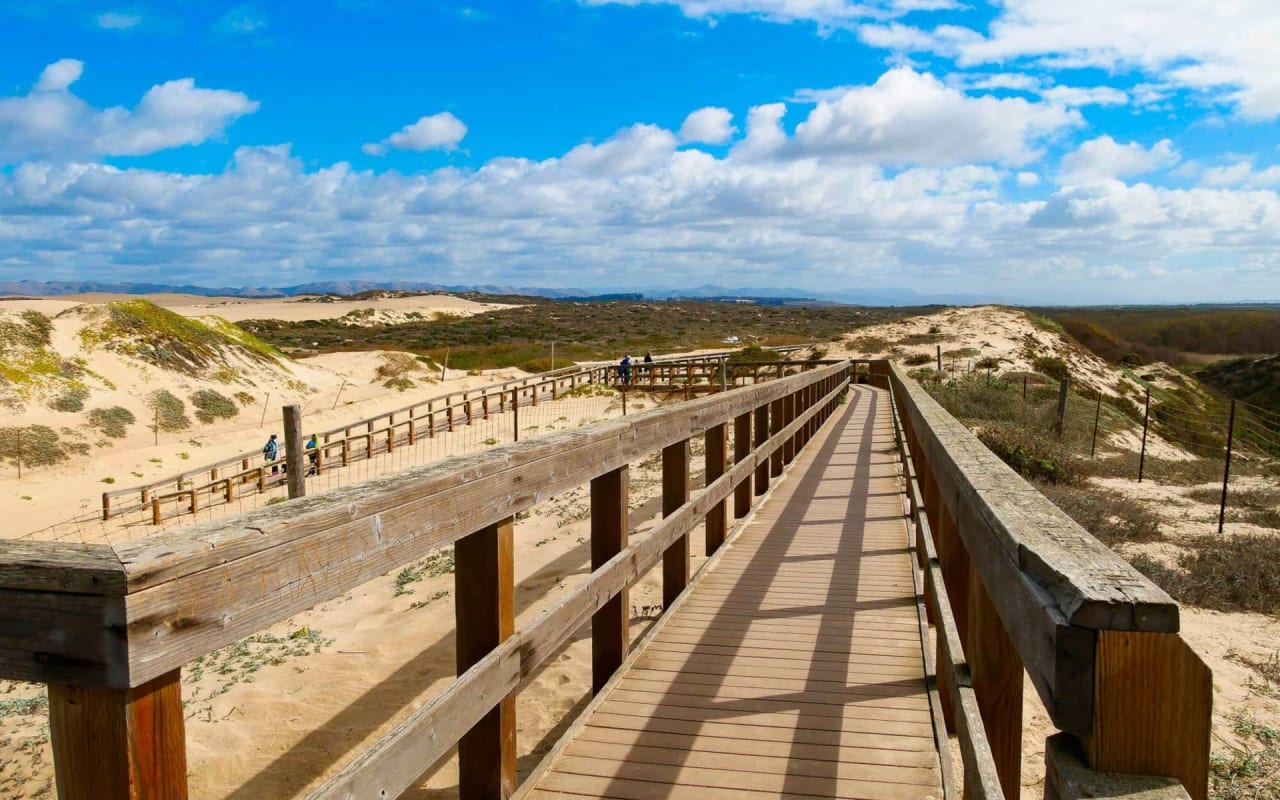 Nipomo Attune Real Estate