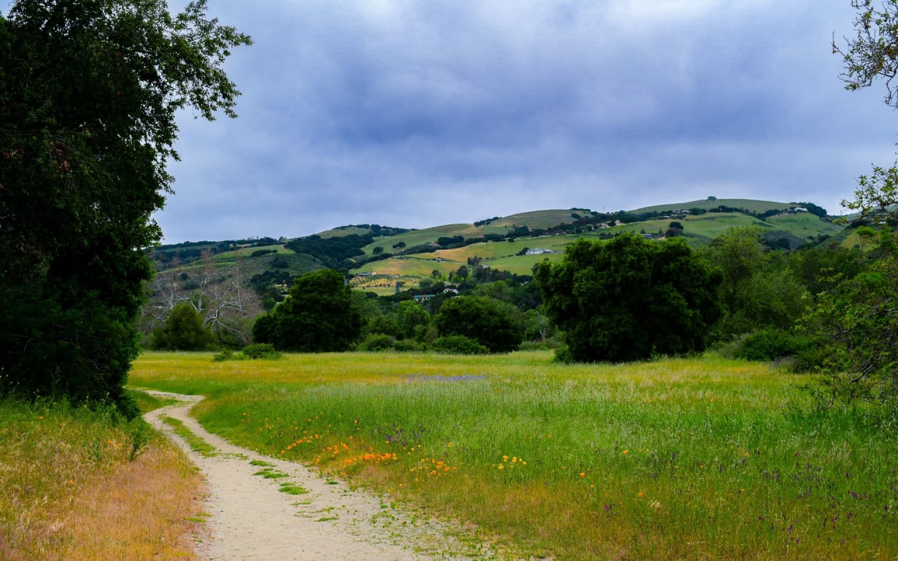 Carmel Valley