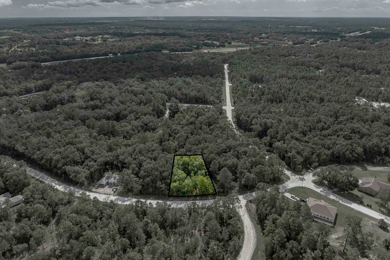 King & Associates Real Estate Tampa Real Estate Agents