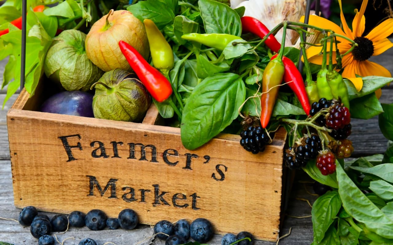 Navigating East Nashville's Farmers Market: A Local Foodie's Delight