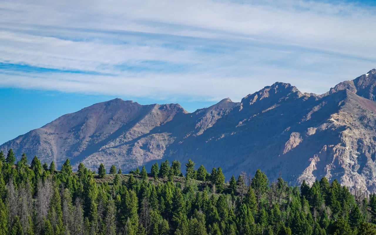 Tamarack Realty Tamarack, ID Real Estate