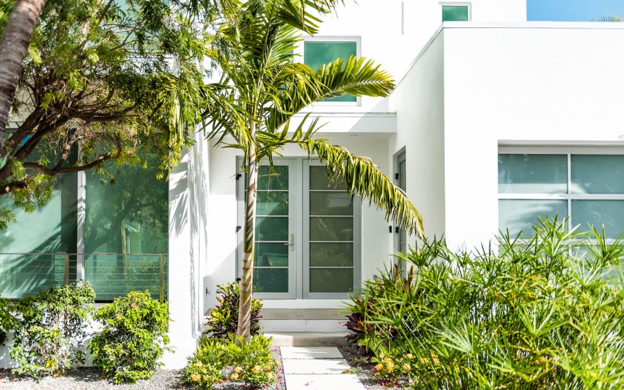 a white house with a palm tree