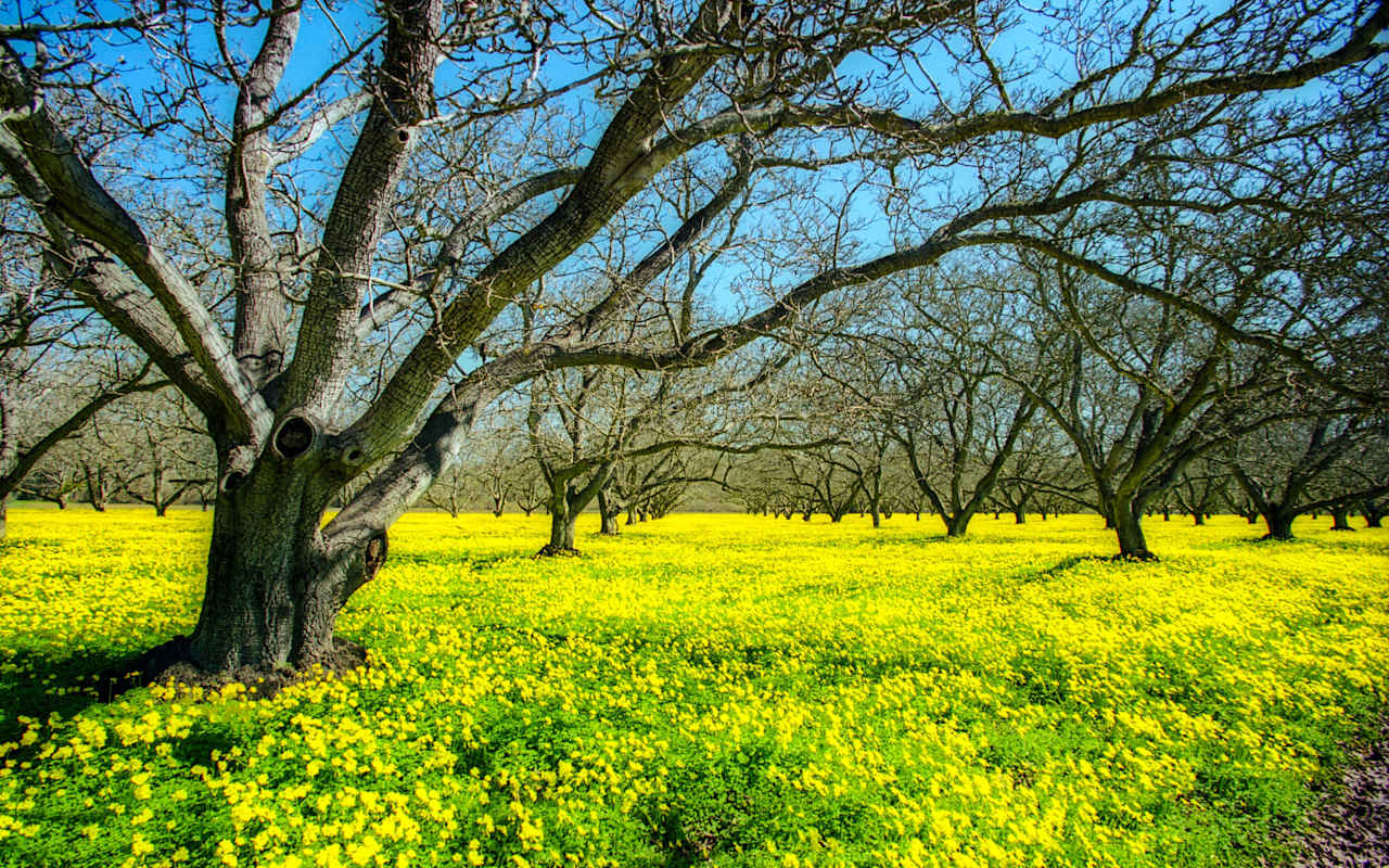 Arroyo Grande CA Real Estate