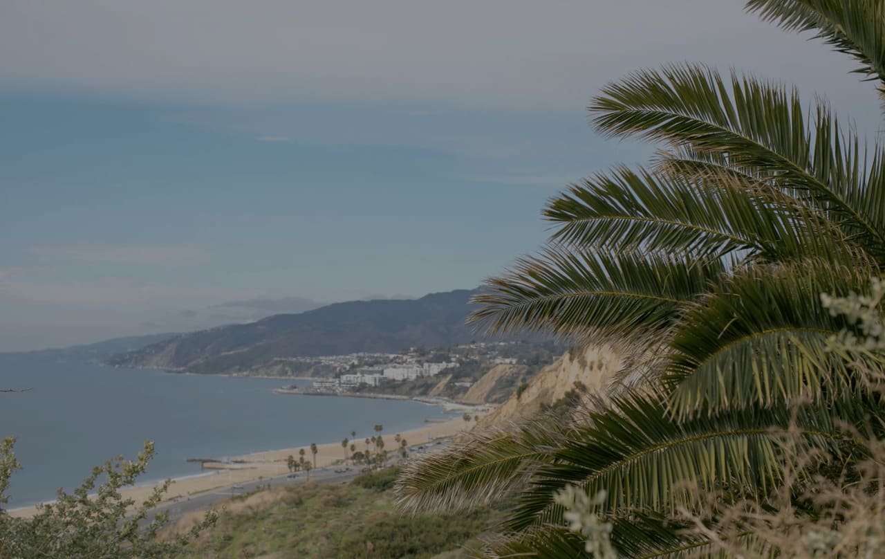 Panoramic view of a beach from a cliff with a tall palm tree overlooking the sandy shore
