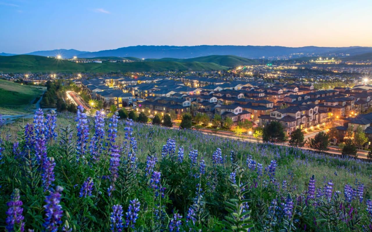 Honest Pros and Cons of Living in San Ramon
