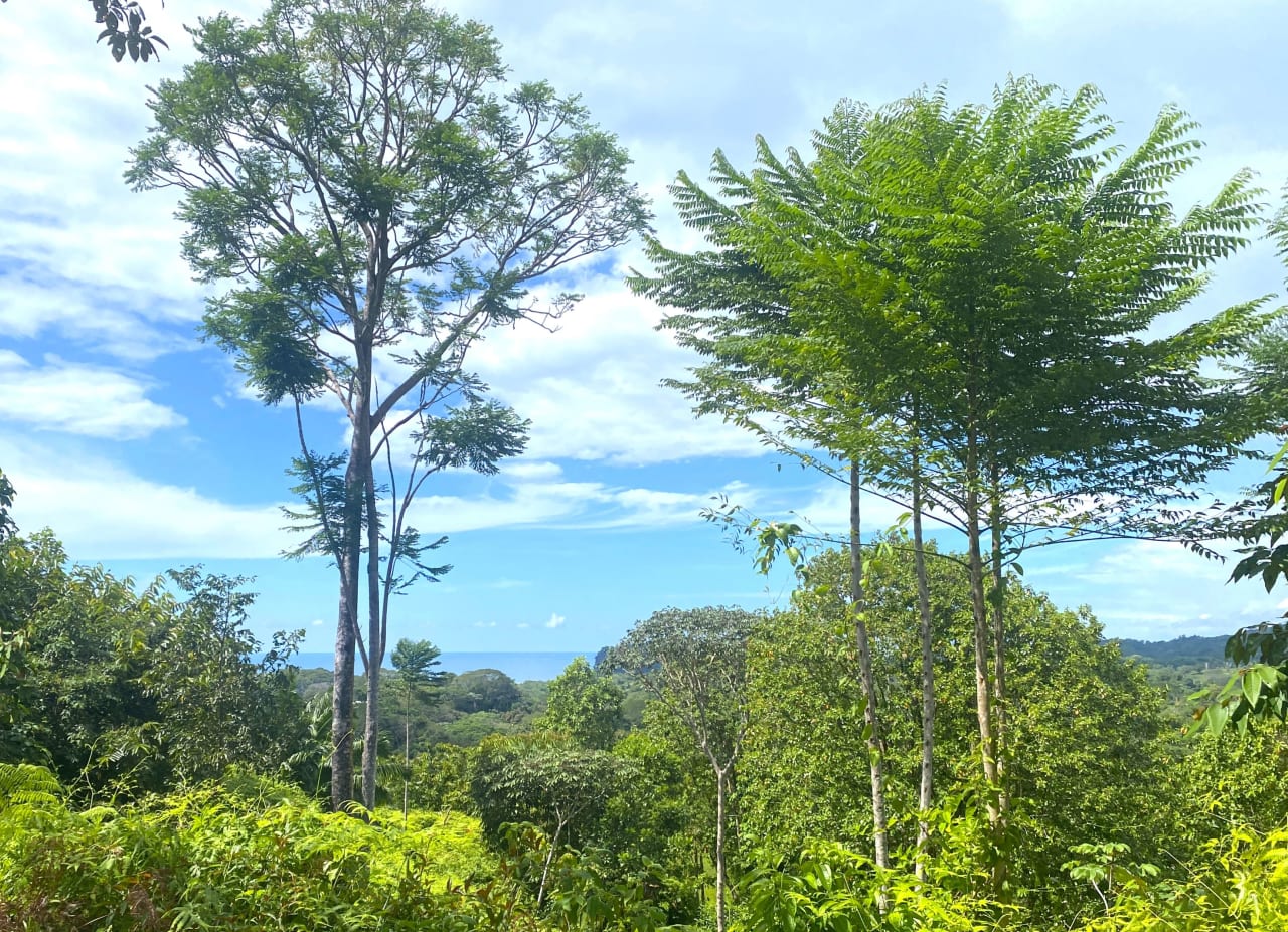 Stunning Sunset Ocean View. FInca Maranon. With Legal Water! Ojochal 