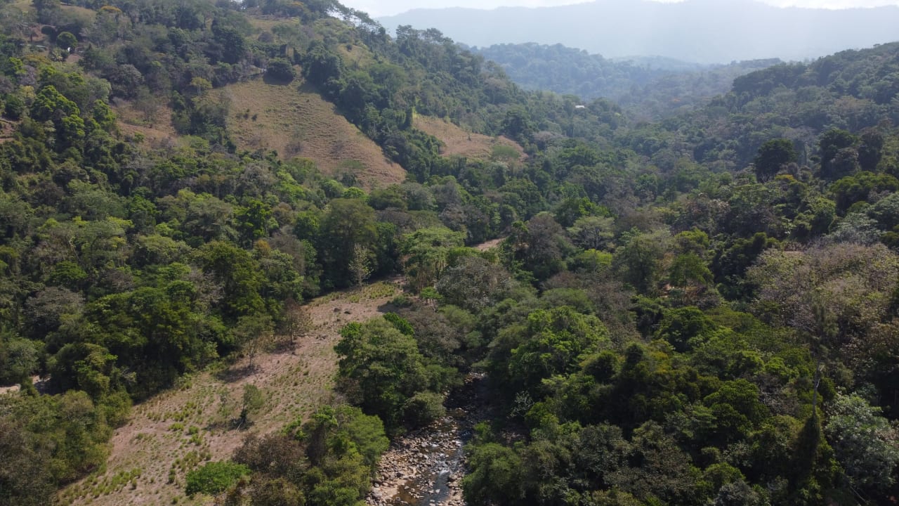 INVESTMENT OPPORTUNITY IN PLATANILLO – YOUR FIXER-UPPER DREAM WALKING DISTANCE TO NAUYACA WATERFALL