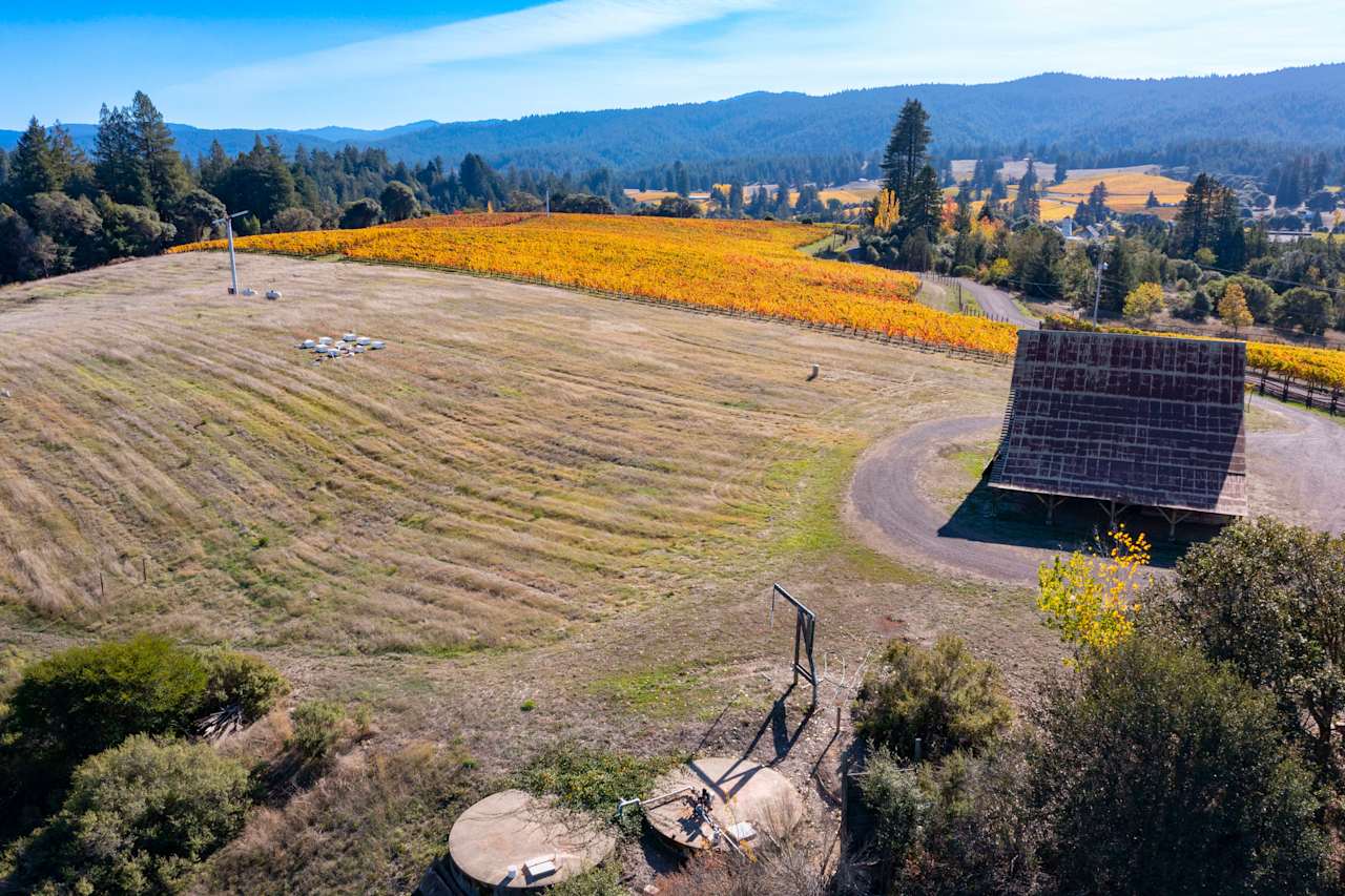 Anderson Valley, Vineyard Kevin McDonald