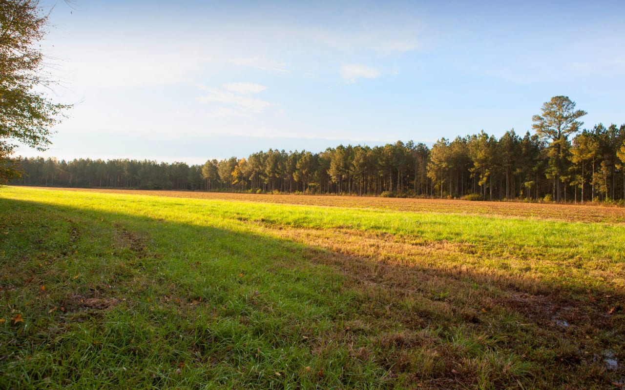 Investing in Rural North Carolina Land Blog Legacy Farms and Ranches