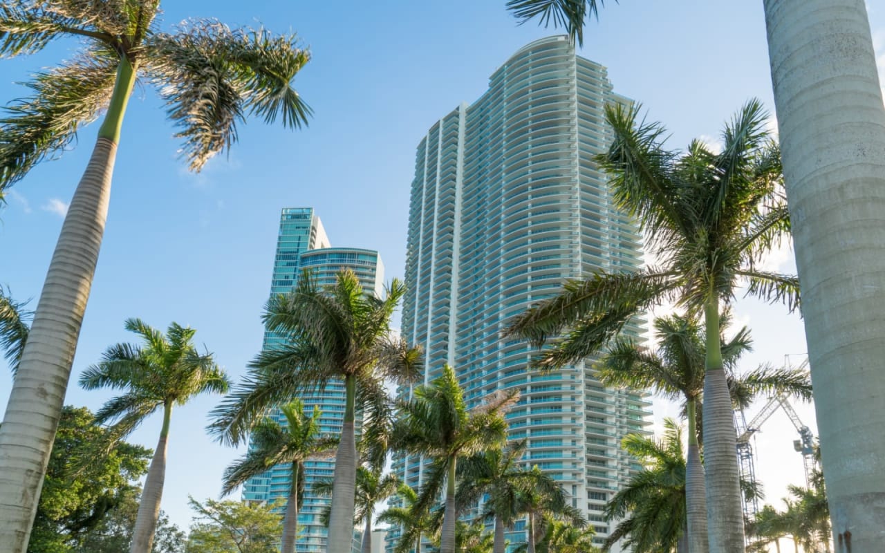 Miami Real Estate Market Trends Not Slowing Down