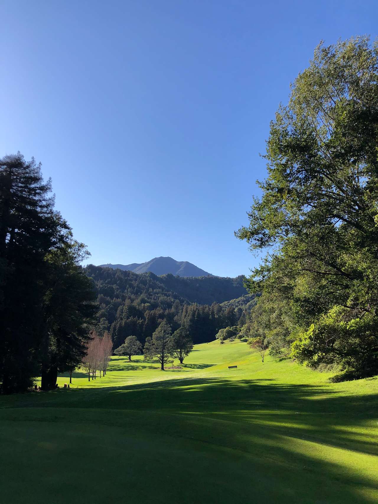 Real Estate Market Report Marin County