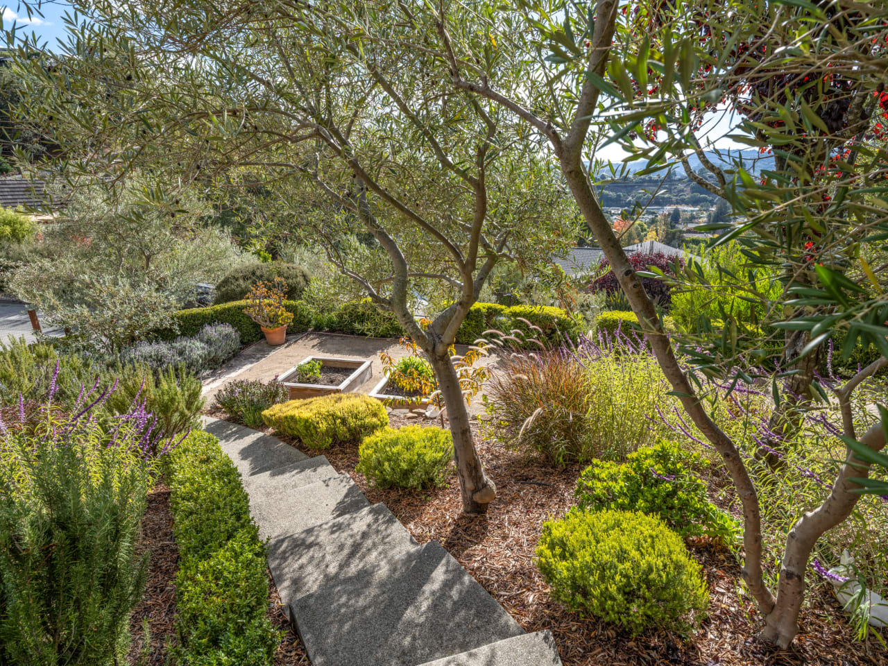 19 Tweed Terrace, San Rafael