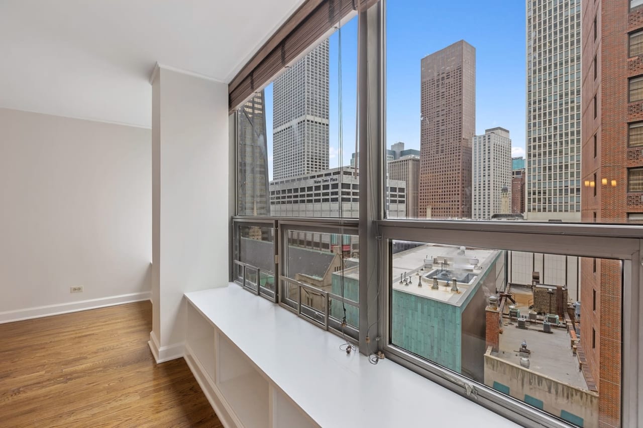 110 E Delaware Pl, #1203