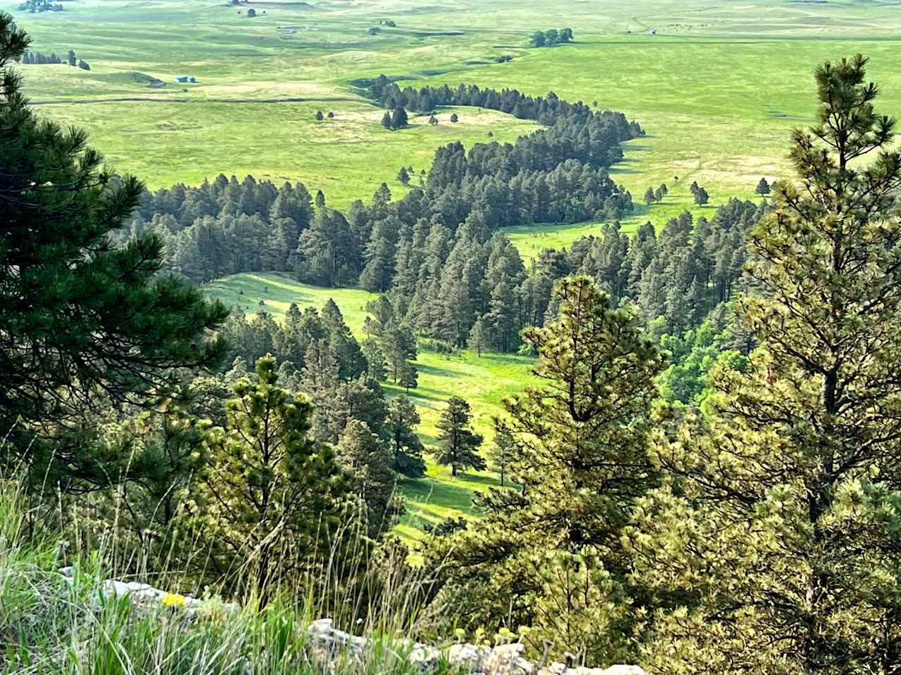 Best Places to Live in Montana | Montana Homes & Grasslands