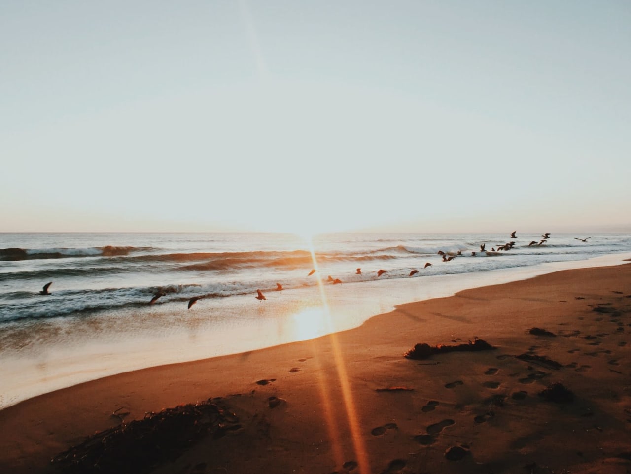 10 Best Beaches Near Santa Cruz The Oldham Group