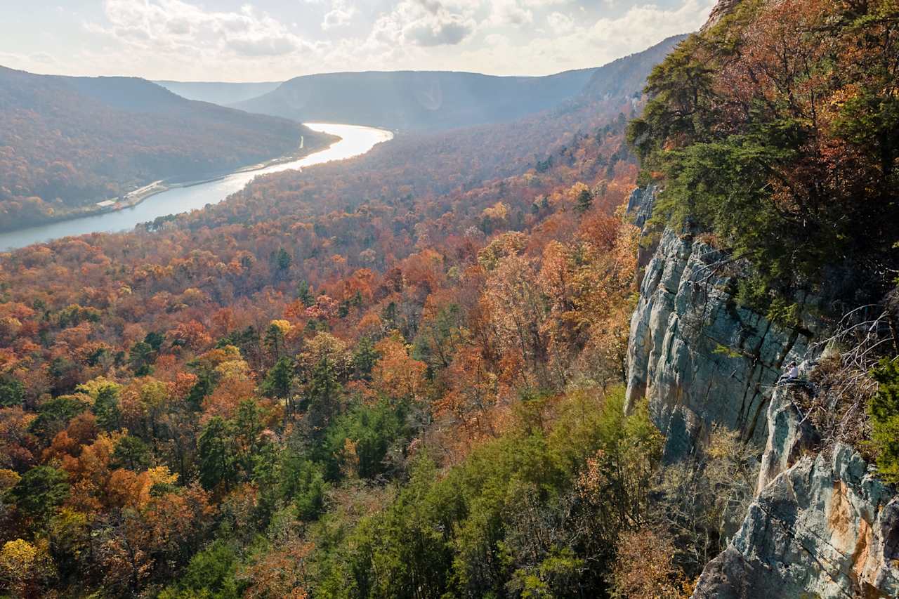 Fletcher Bright Realty Press