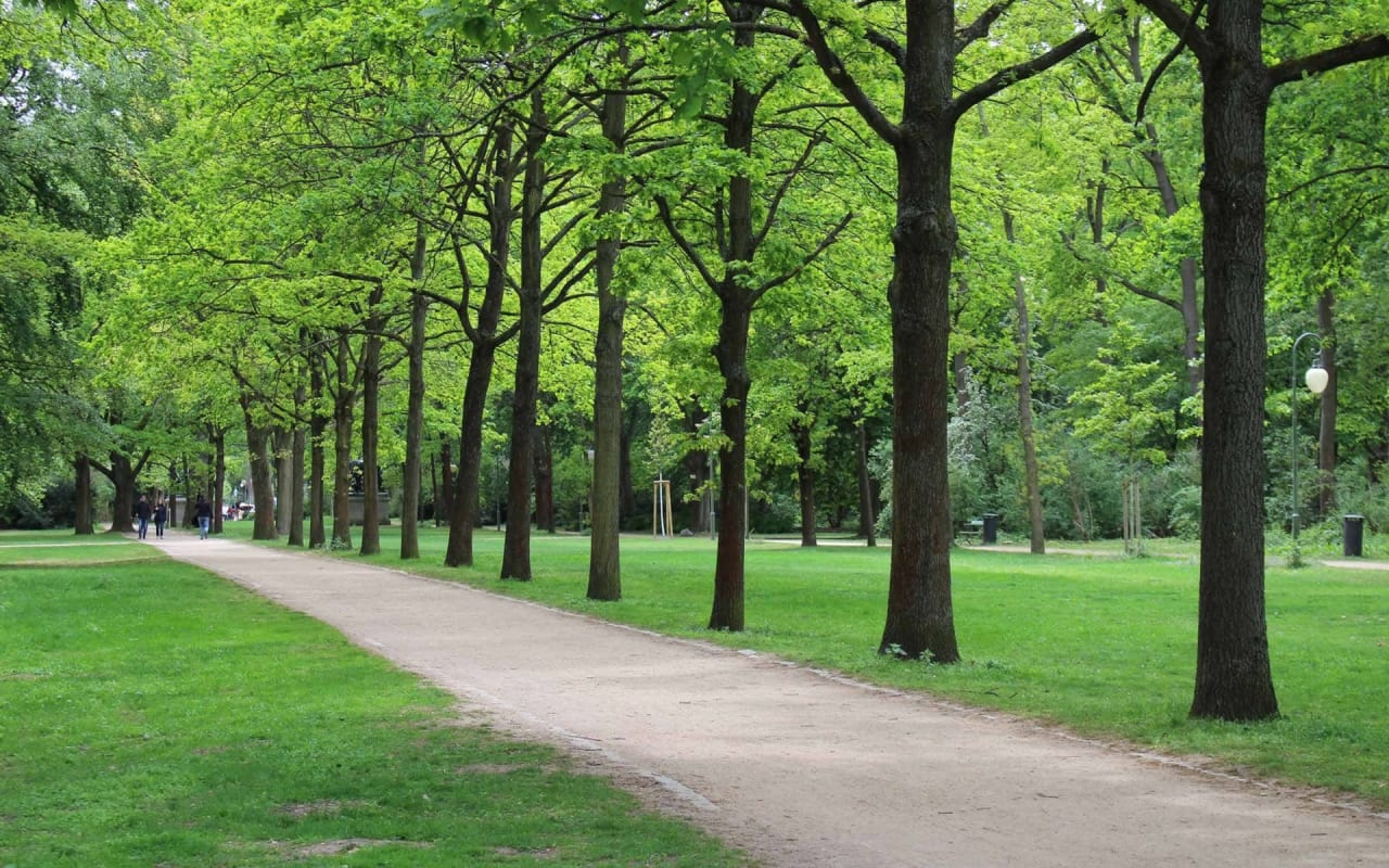 A picturesque tree-lined path in a park or garden. The path is flanked by tall trees with green foliage, creating a serene and inviting atmosphere.