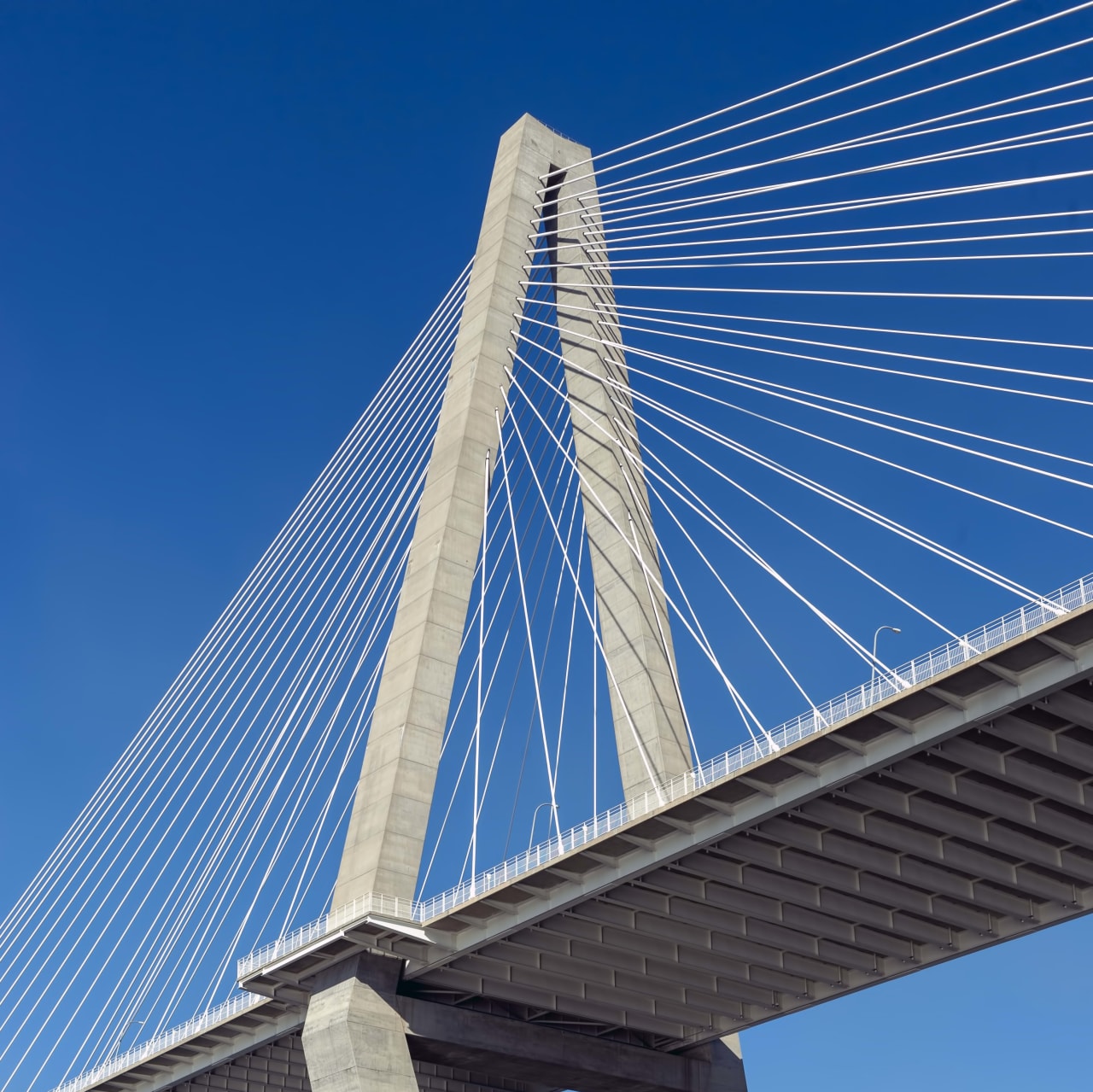 The Annual Cooper River Bridge Run in Charleston, SC