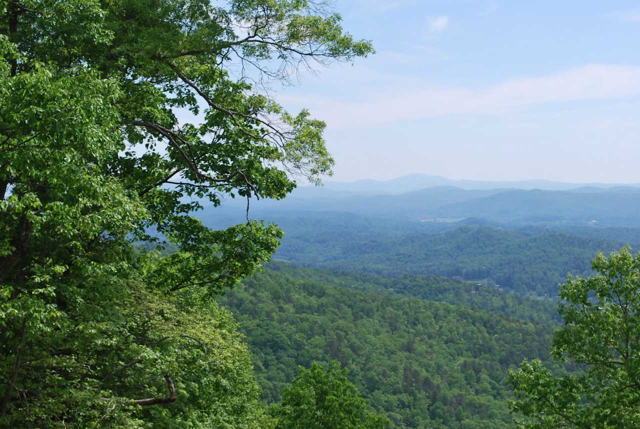 Sutton Knob