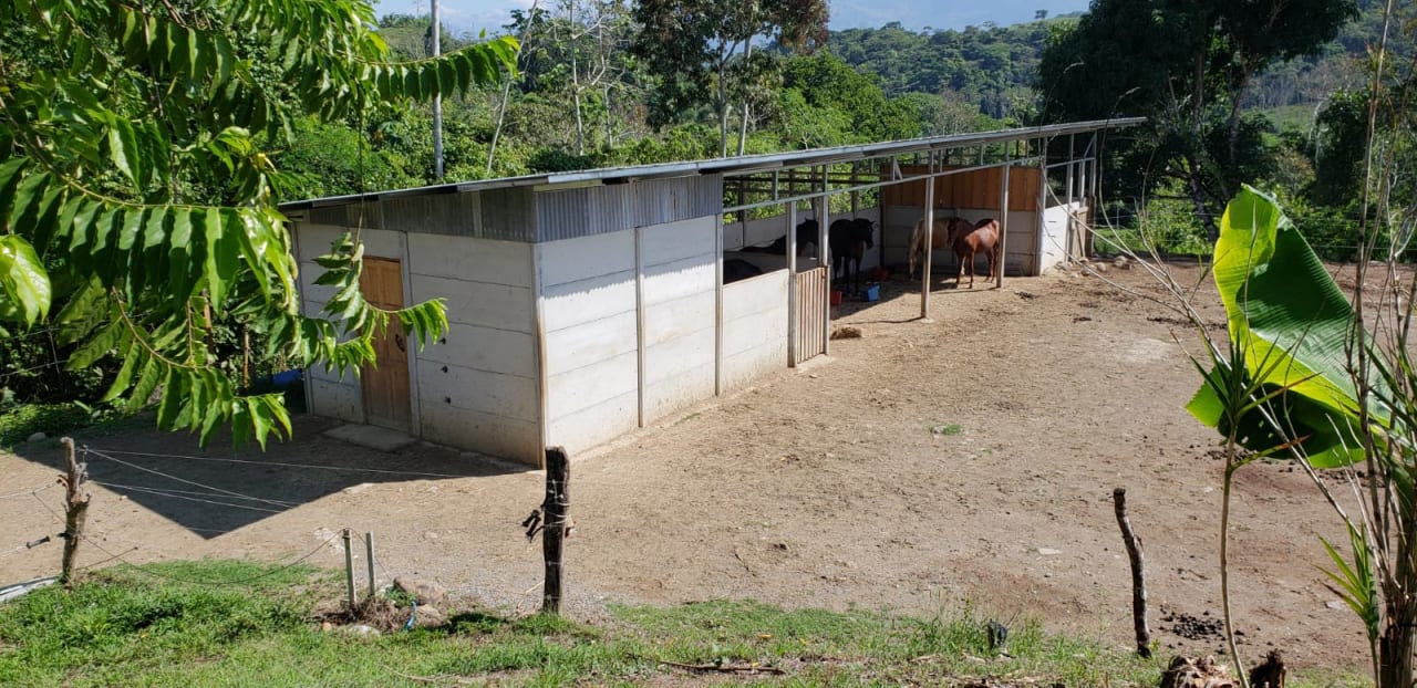 Finca Río General in Santa Luisa