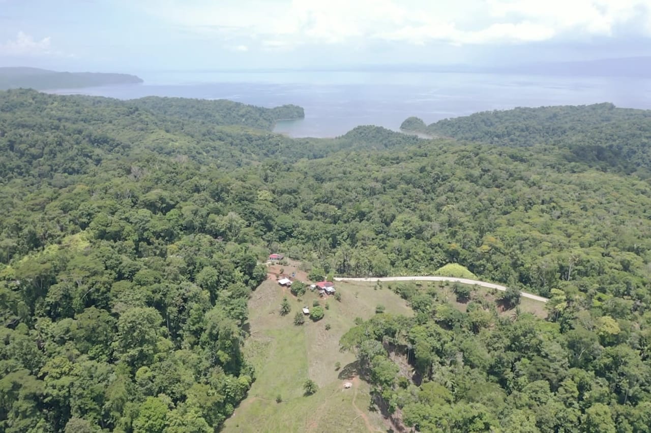 Osa Peninsula Los Mogos Magic Golfo Dulce Views 71 Acres