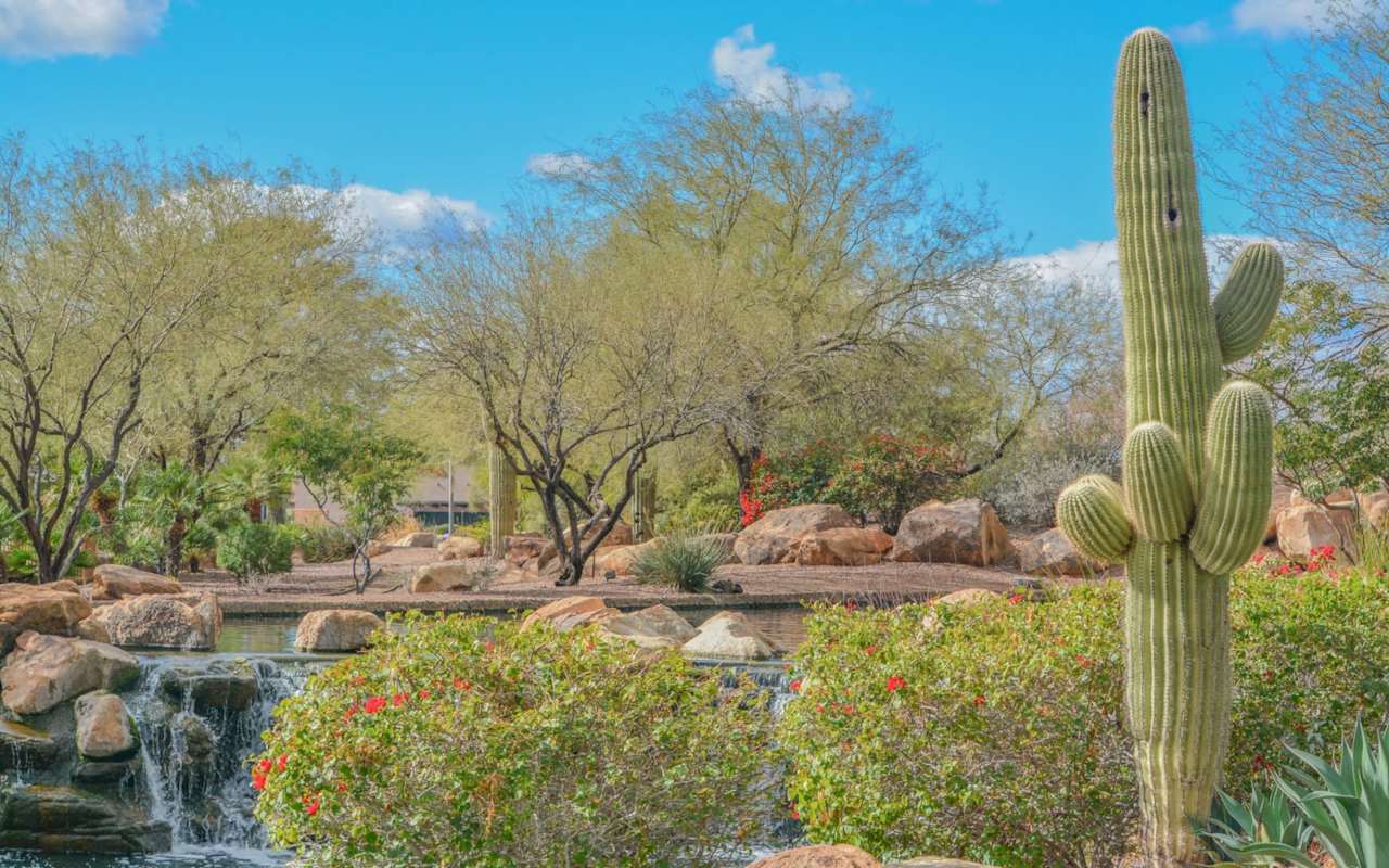 Cherie Bernstein Realtor® Scottsdale Real Estate Expert