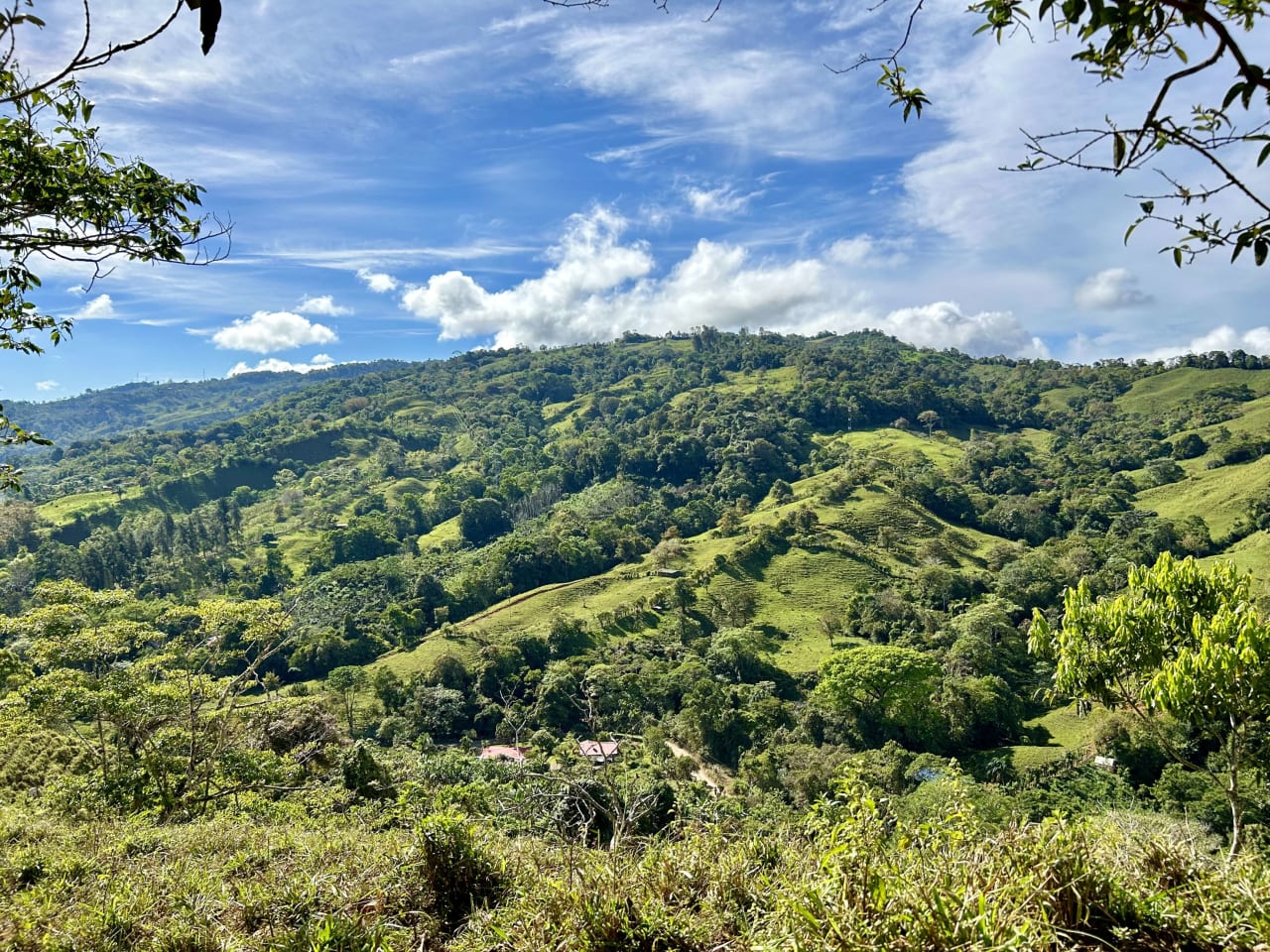 45 Acres Development Farm in San Luis with two Existing Homes 