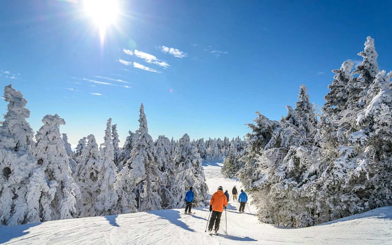 Skiing and Snowboarding