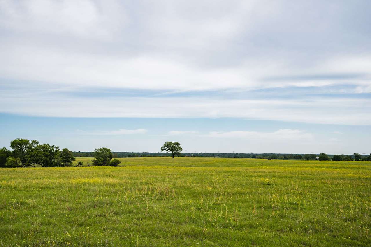 Pasture Land For Sale in Texas