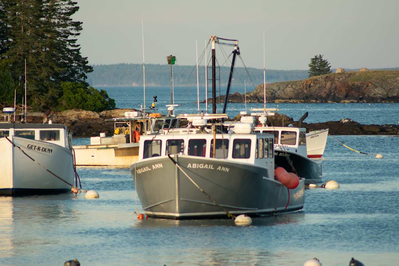 Melanie Trott Rockland ME Real Estate Agent