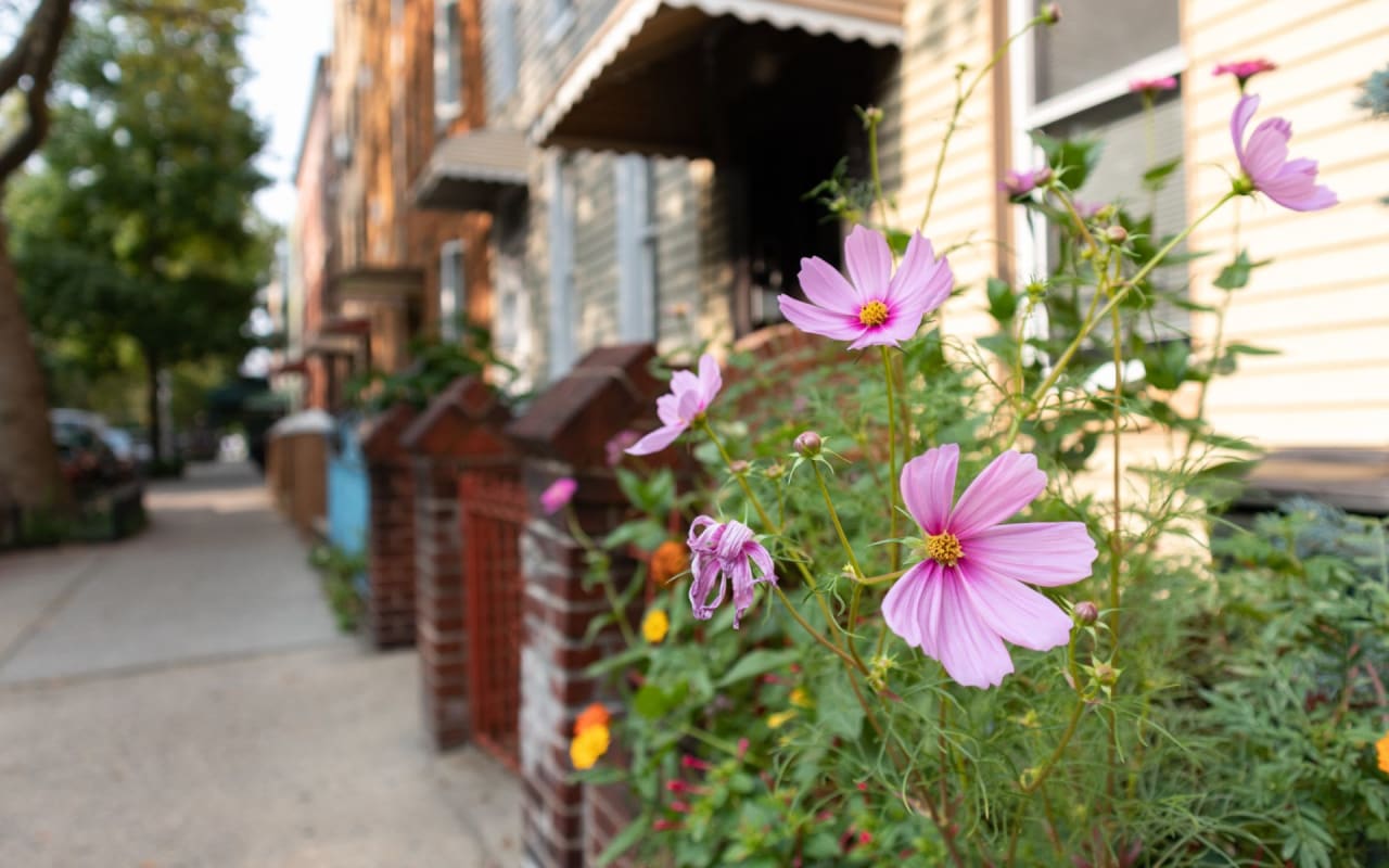 Brooklyn: Bedford-Stuyvesant