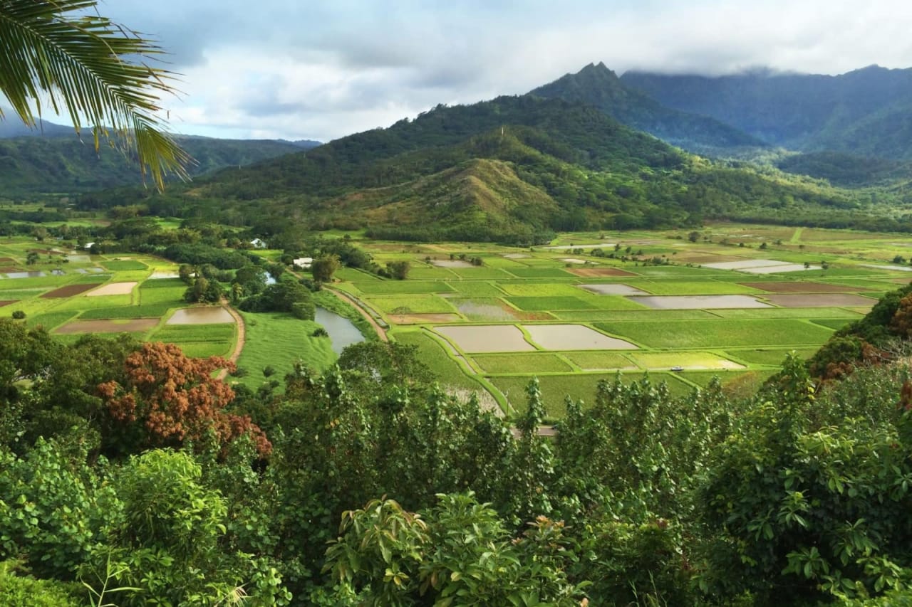 12 Most Photographic Spots on Kauai