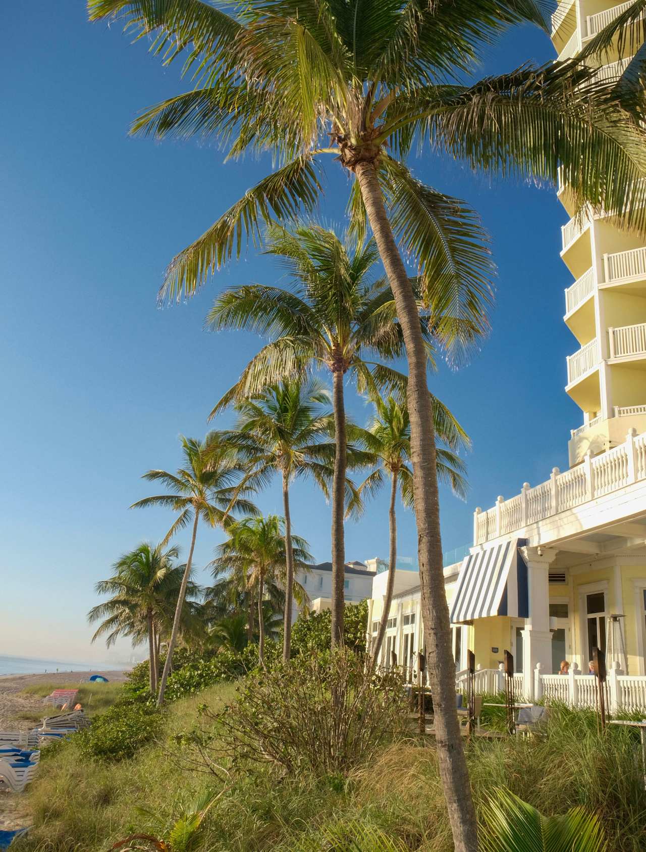 Laurie Ermer Fort Lauderdale Real Estate Agent & Realtor