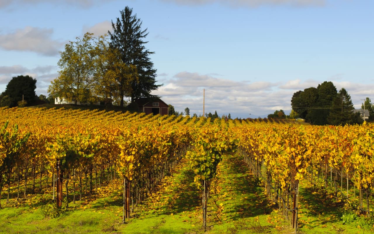 The Borrall Hodes Team Sonoma County Real Estate Agents