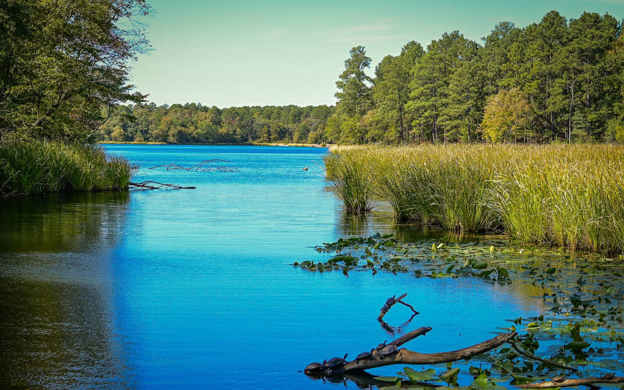 Lake Tyler, Texas Real Estate Amy Egaña Group