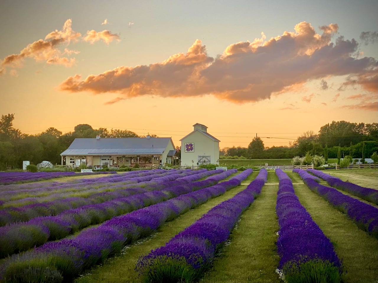 Millefleurs – Luxurious 5.6 Acre Estate In Prince Edward County