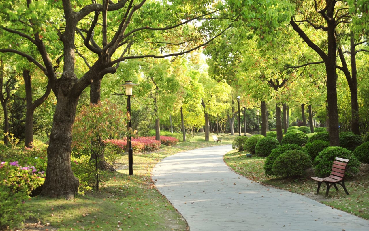 Trinity Bellwoods