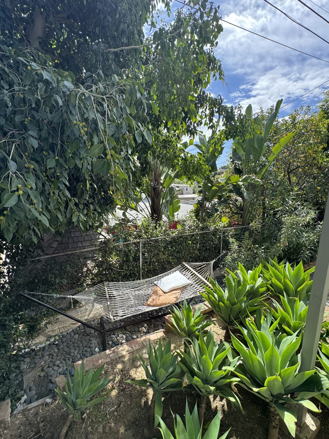 Silver Lake Mid-Century Duplex