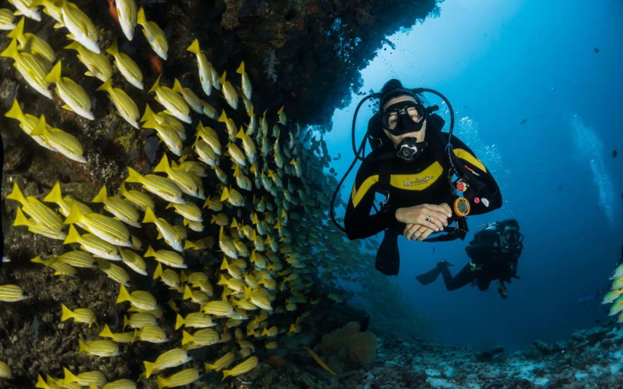 10 Best Places to Scuba Dive in Islamorada