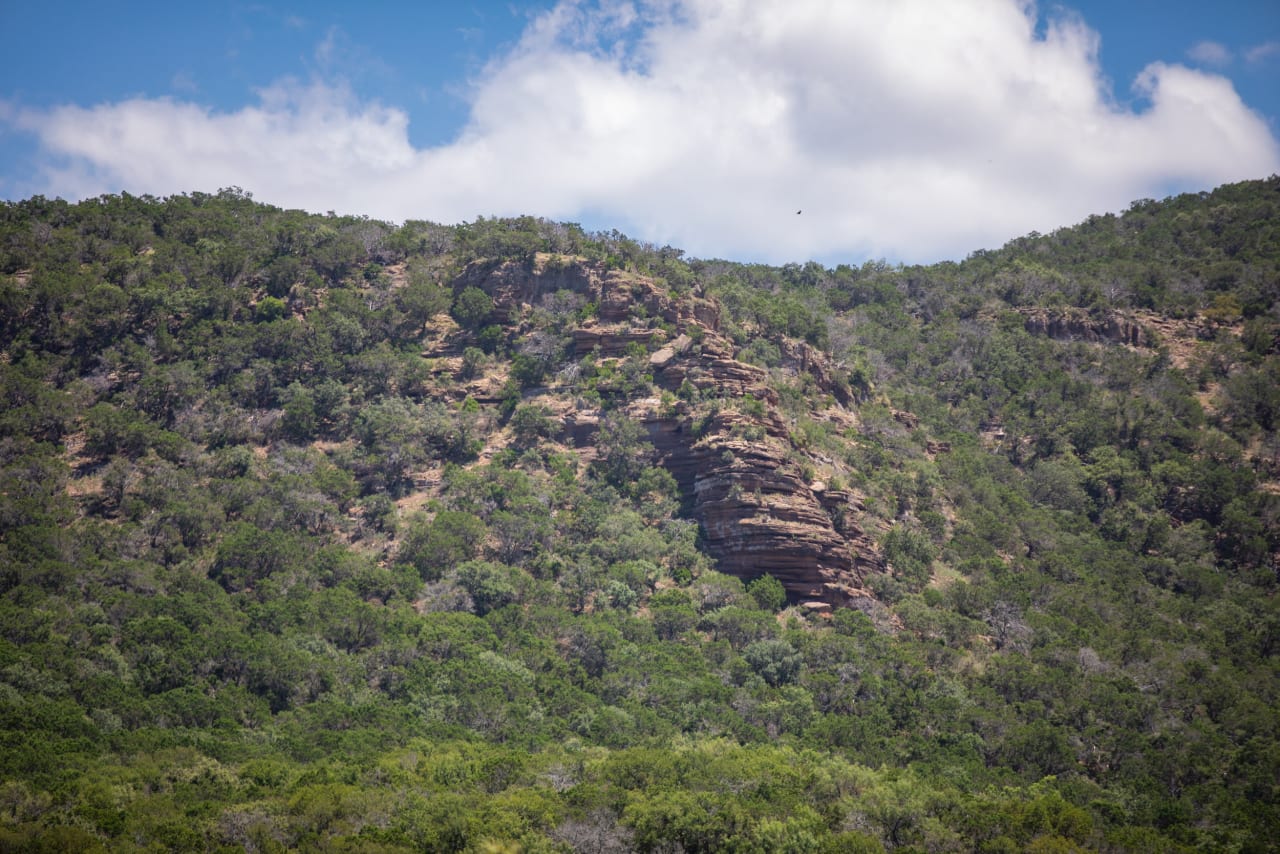 Packsaddle Ranch