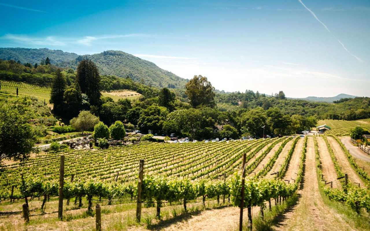 Mark Stevens & Associates Wine Country Real Estate Agents