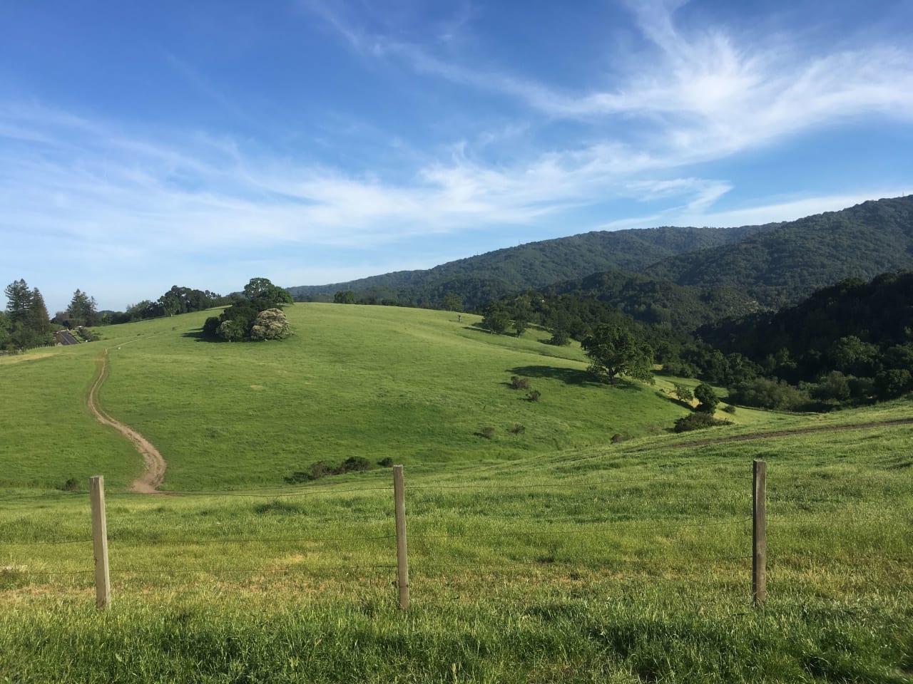 Los Altos Hills