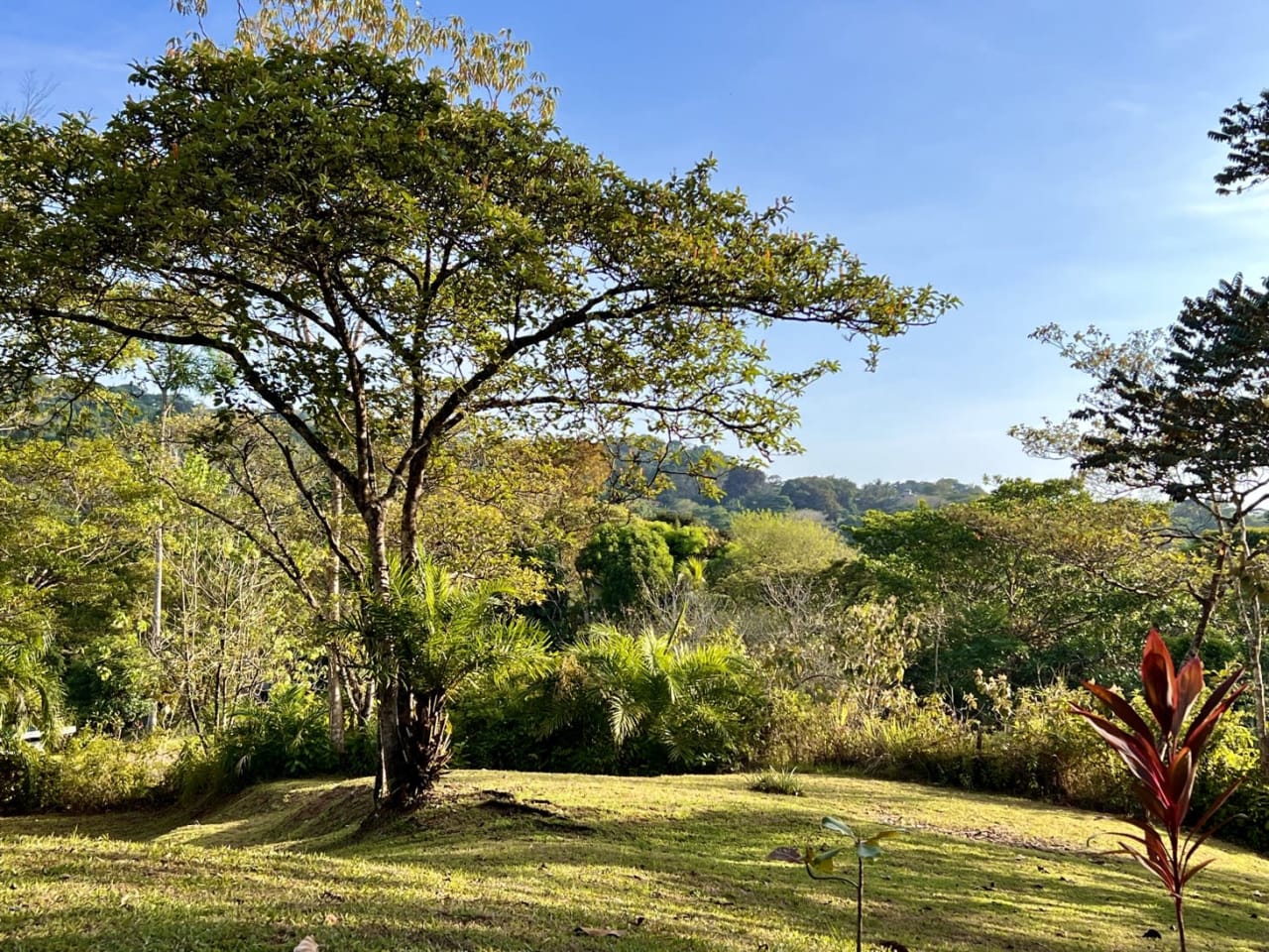 Modern Three-Bedroom Home On 6+ Acres