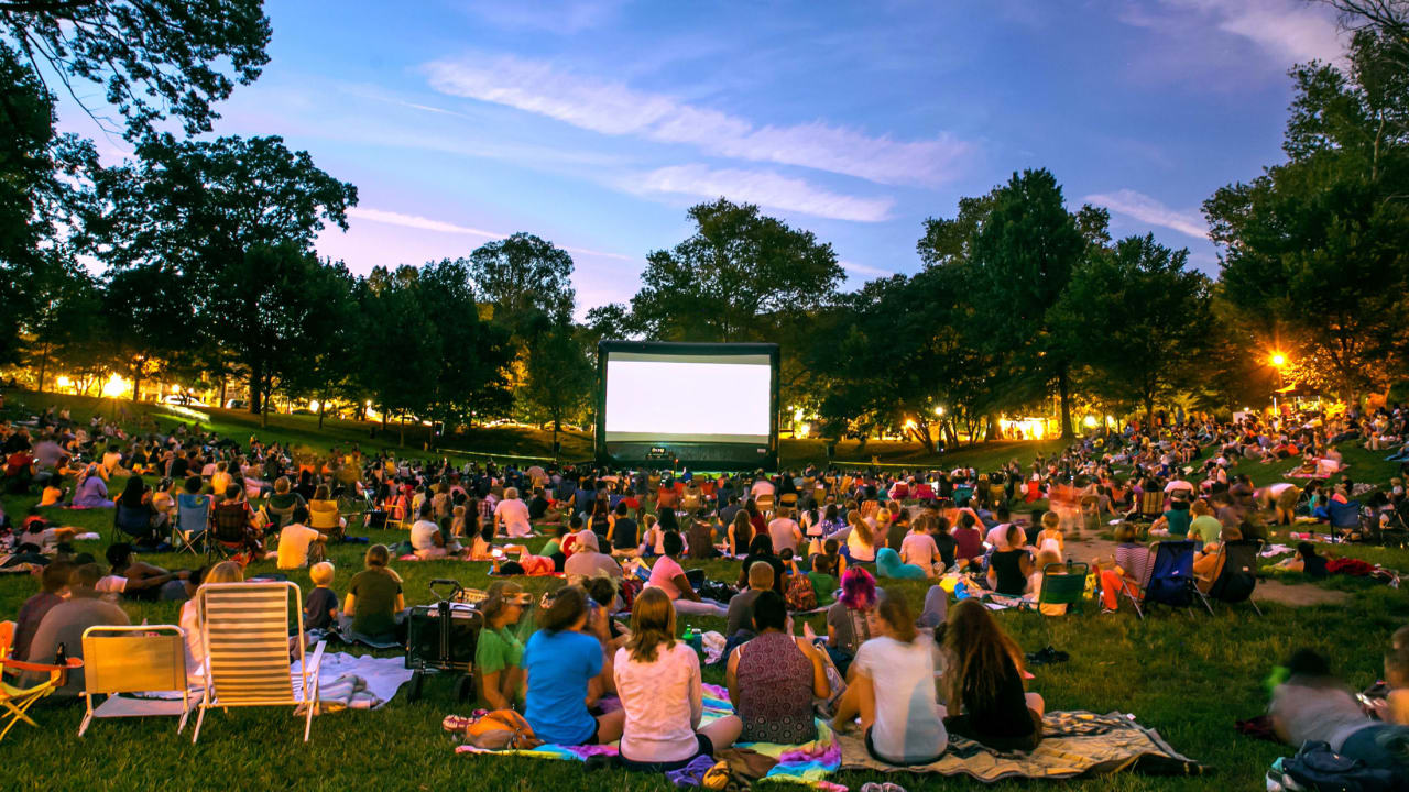 Movie Night In the Park